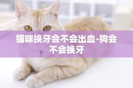 貓咪換牙會不會出血-狗會不會換牙