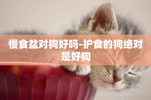 慢食盆對狗好嗎-護食的狗絕對是好狗