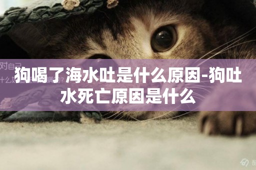 狗喝了海水吐是什么原因-狗吐水死亡原因是什么