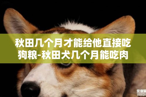 秋田幾個月才能給他直接吃狗糧-秋田犬幾個月能吃肉