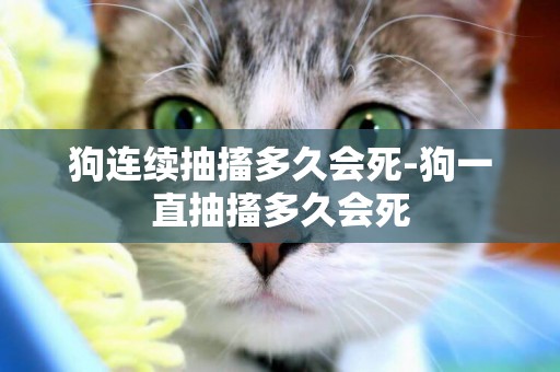 狗連續抽搐多久會死-狗一直抽搐多久會死