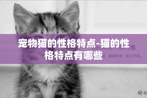 寵物貓的性格特點-貓的性格特點有哪些