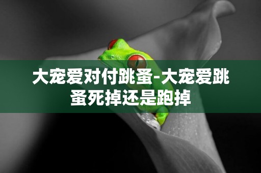 大寵愛對付跳蚤-大寵愛跳蚤死掉還是跑掉
