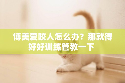 博美愛咬人怎么辦？那就得好好訓練管教一下 