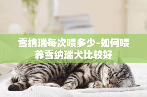 雪納瑞每次喂多少-如何喂養雪納瑞犬比較好