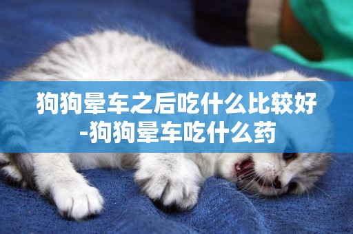 狗狗暈車之后吃什么比較好-狗狗暈車吃什么藥