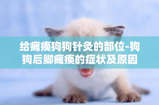 給癱瘓狗狗針灸的部位-狗狗后腳癱瘓的癥狀及原因