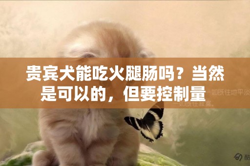貴賓犬能吃火腿腸嗎？當然是可以的，但要控制量 