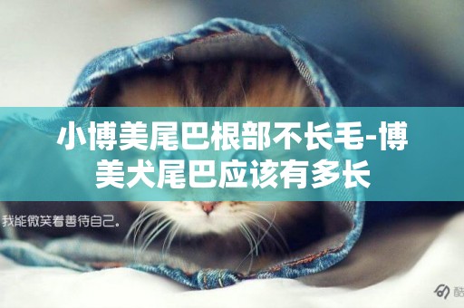 小博美尾巴根部不長毛-博美犬尾巴應該有多長