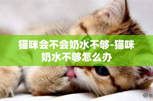 貓咪會不會奶水不夠-貓咪奶水不夠怎么辦
