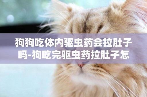 狗狗吃體內驅蟲藥會拉肚子嗎-狗吃完驅蟲藥拉肚子怎么回事