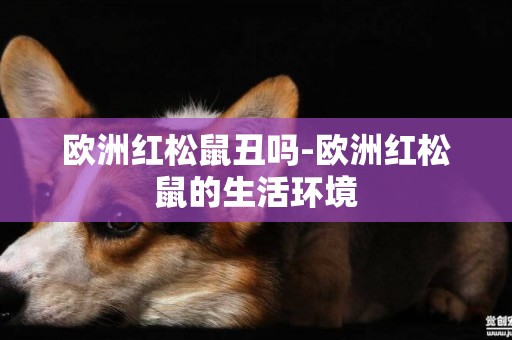 歐洲紅松鼠丑嗎-歐洲紅松鼠的生活環境