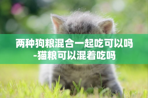 兩種狗糧混合一起吃可以嗎-貓糧可以混著吃嗎