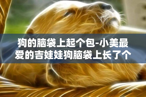 狗的腦袋上起個包-小美最愛的吉娃娃狗腦袋上長了個大包
