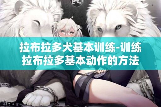 拉布拉多犬基本訓練-訓練拉布拉多基本動作的方法