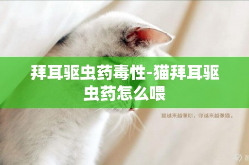拜耳驅蟲藥毒性-貓拜耳驅蟲藥怎么喂