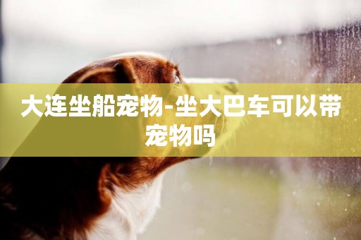 大連坐船寵物-坐大巴車可以帶寵物嗎