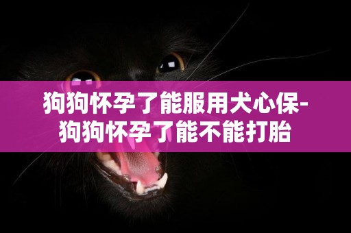 狗狗懷孕了能服用犬心保-狗狗懷孕了能不能打胎