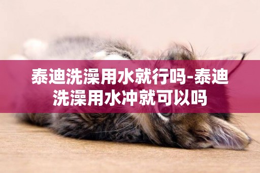 泰迪洗澡用水就行嗎-泰迪洗澡用水沖就可以嗎