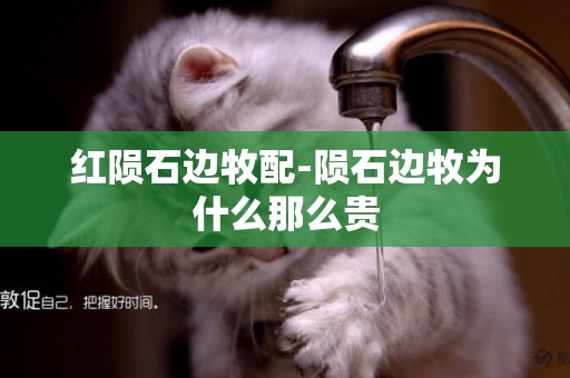 紅隕石邊牧配-隕石邊牧為什么那么貴