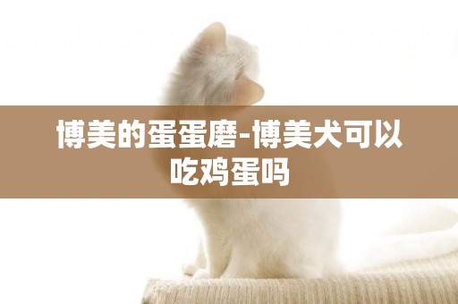 博美的蛋蛋磨-博美犬可以吃雞蛋嗎