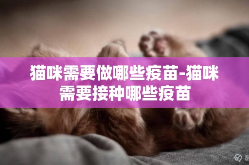 貓咪需要做哪些疫苗-貓咪需要接種哪些疫苗