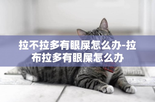 拉不拉多有眼屎怎么辦-拉布拉多有眼屎怎么辦