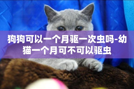 狗狗可以一個月驅一次蟲嗎-幼貓一個月可不可以驅蟲