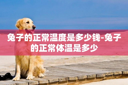 兔子的正常溫度是多少錢-兔子的正常體溫是多少
