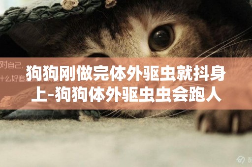 狗狗剛做完體外驅蟲就抖身上-狗狗體外驅蟲蟲會跑人身上嗎