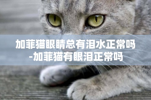 加菲貓眼睛總有淚水正常嗎-加菲貓有眼淚正常嗎