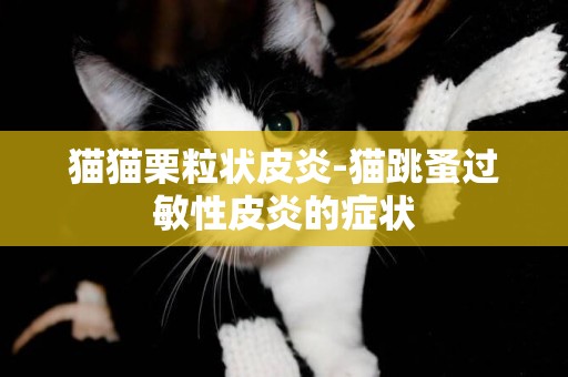 貓貓栗粒狀皮炎-貓跳蚤過敏性皮炎的癥狀