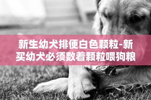 新生幼犬排便白色顆粒-新買幼犬必須數著顆粒喂狗糧