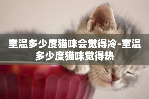 室溫多少度貓咪會覺得冷-室溫多少度貓咪覺得熱