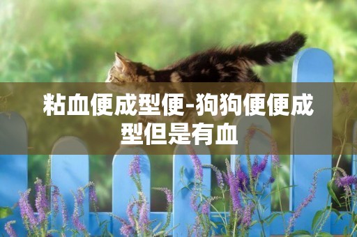 粘血便成型便-狗狗便便成型但是有血