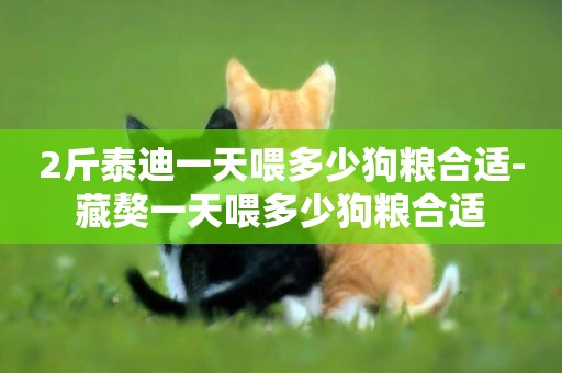 2斤泰迪一天喂多少狗糧合適-藏獒一天喂多少狗糧合適