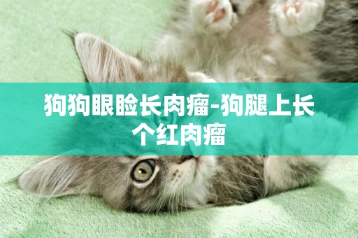 狗狗眼瞼長肉瘤-狗腿上長個紅肉瘤