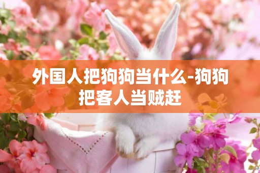 外國人把狗狗當什么-狗狗把客人當賊趕