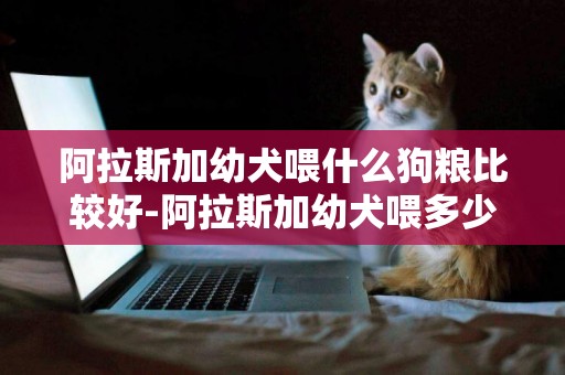 阿拉斯加幼犬喂什么狗糧比較好-阿拉斯加幼犬喂多少狗糧