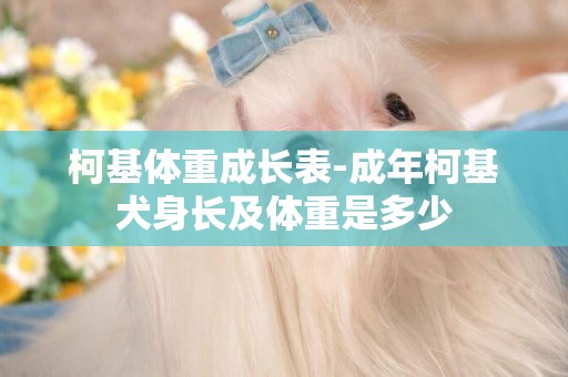 柯基體重成長表-成年柯基犬身長及體重是多少