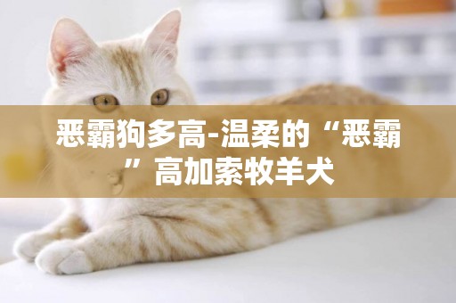 惡霸狗多高-溫柔的“惡霸”高加索牧羊犬