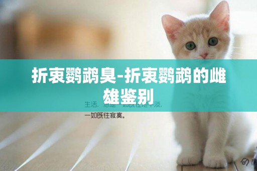 折衷鸚鵡臭-折衷鸚鵡的雌雄鑒別