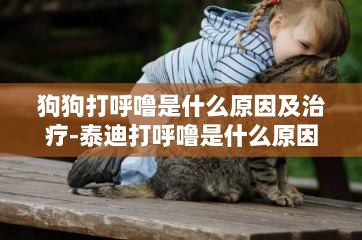 狗狗打呼嚕是什么原因及治療-泰迪打呼嚕是什么原因
