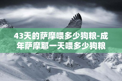 43天的薩摩喂多少狗糧-成年薩摩耶一天喂多少狗糧