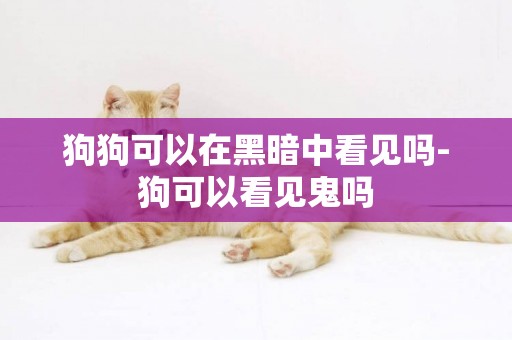 狗狗可以在黑暗中看見嗎-狗可以看見鬼嗎
