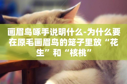 畫眉鳥啄手說明什么-為什么要在原毛畫眉鳥的籠子里放“花生”和“核桃”
