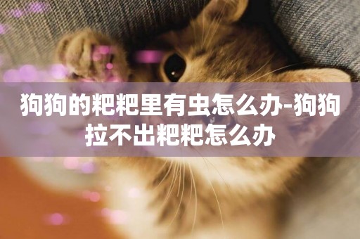 狗狗的粑粑里有蟲怎么辦-狗狗拉不出粑粑怎么辦