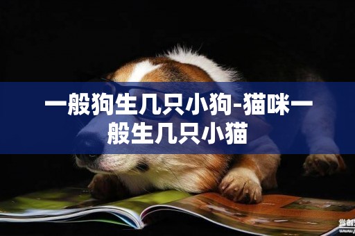一般狗生幾只小狗-貓咪一般生幾只小貓