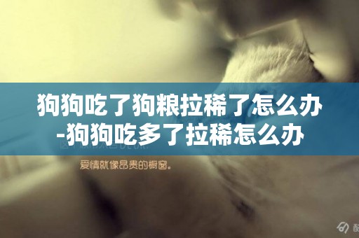 狗狗吃了狗糧拉稀了怎么辦-狗狗吃多了拉稀怎么辦