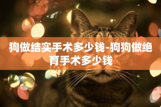 狗做結實手術多少錢-狗狗做絕育手術多少錢